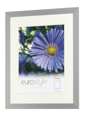 Silver Eurostyle picture frame with a white mount and a blue flower image.