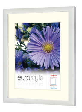Eurostyle white picture frame with cream mount showing a purple flower