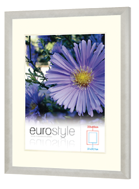 Silver Eurostyle picture frame with a white mount and a purple flower stock image.