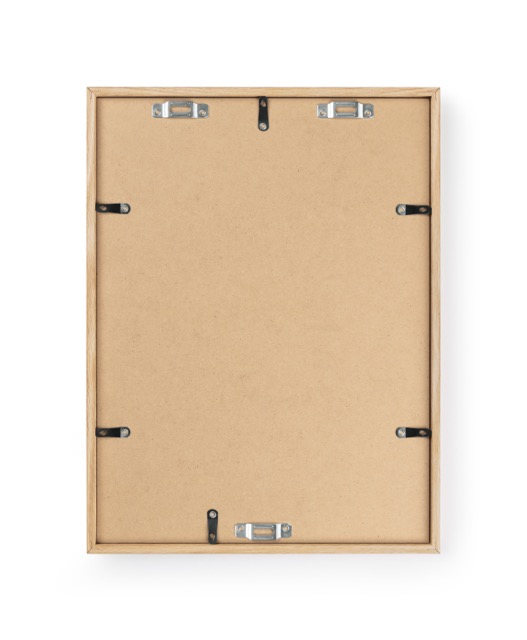  Sicherheitssystem für Bilderrahmen vertical